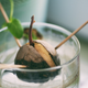 Illustration for article titled At last, someone has discovered a use for avocado pits